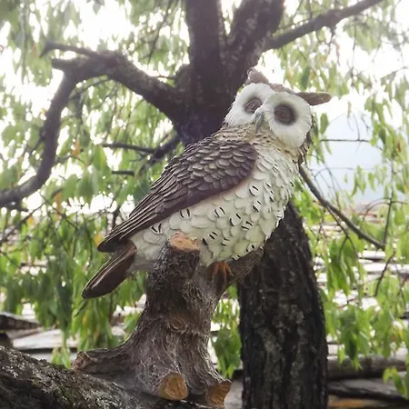 Chez Nous Saint-Oyen